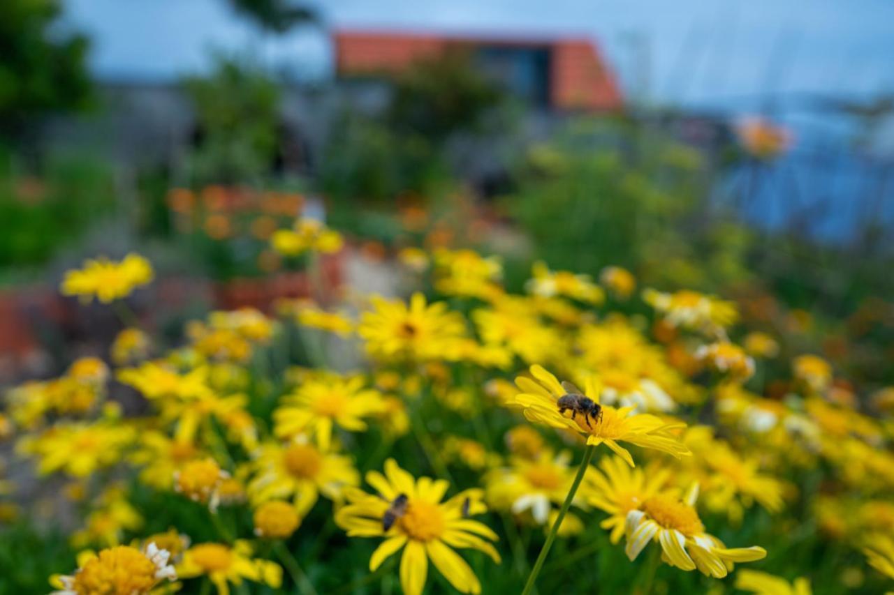 Casas Da Vereda Estreito Da Calheta Cameră foto